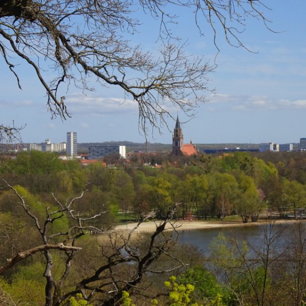 Blick von Belvedere