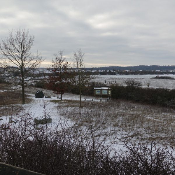 Der Findlingsgarten befindet sich unweit von der Aussichtsplattform