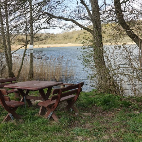 Hundebadestelle am Tiefsee