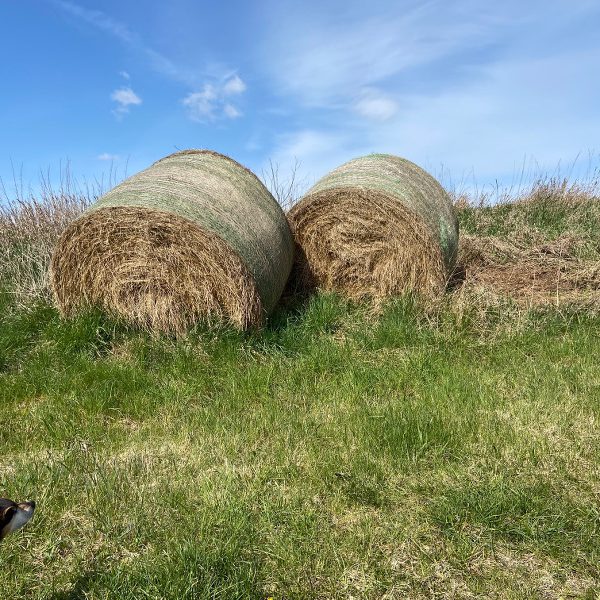 Stohballen