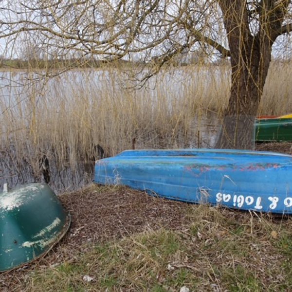 bunte Angelboote am See